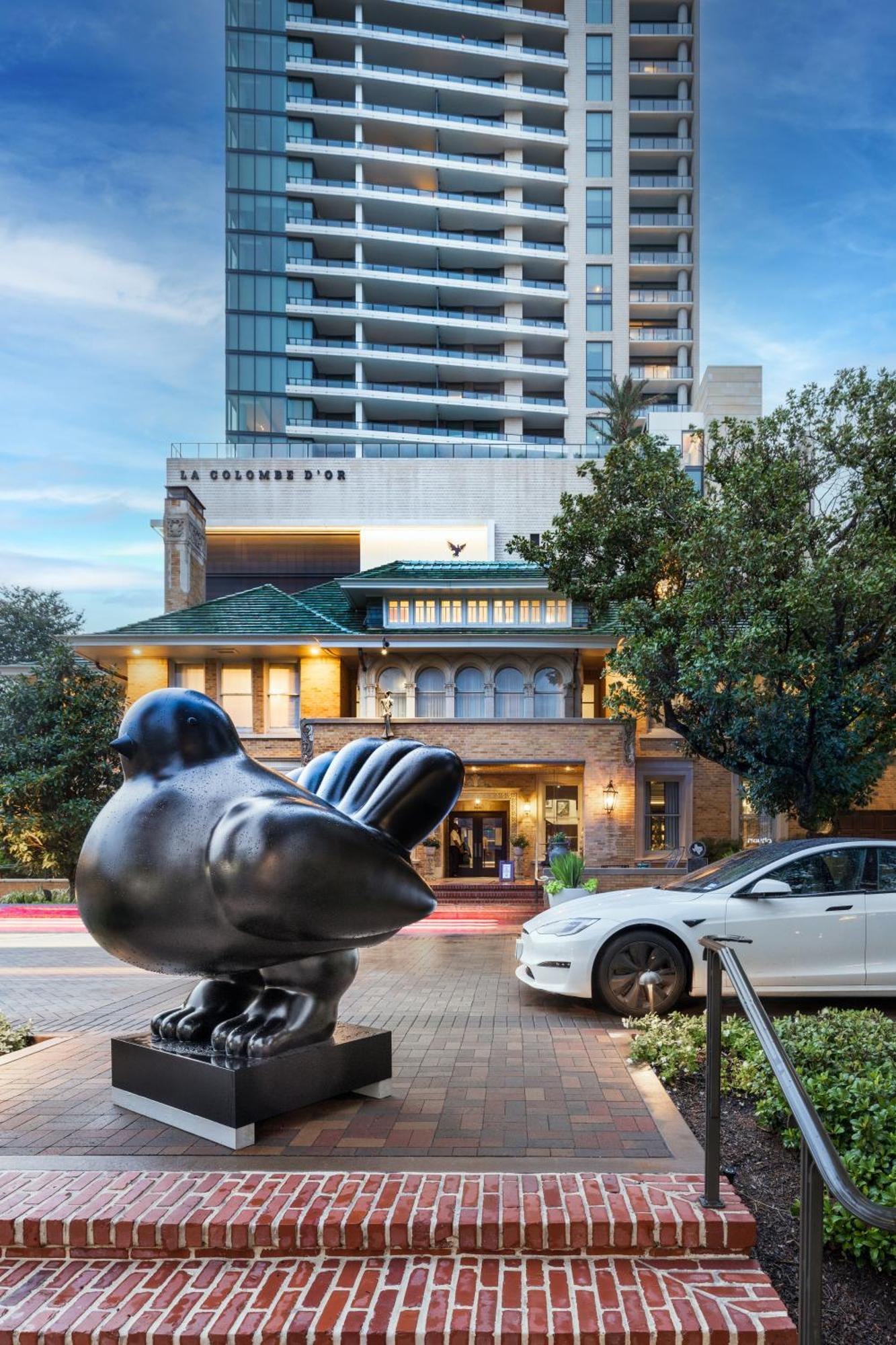 La Colombe d'Or Hotel Houston Extérieur photo